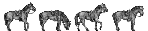 (100ECW11) Irish Dragoon horse-without rider