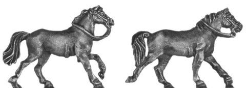 (AB-ACW097) Horse | galloping