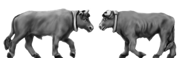 (AB-VIN12) NEW Pair of short horn oxen