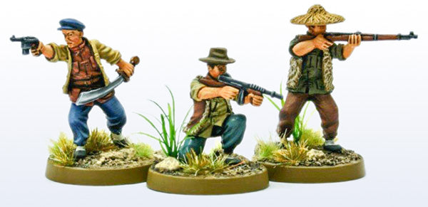 (100WWT216) NEW Complete Chinese guerrilla set