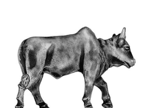 (100ANM02)  Oxen