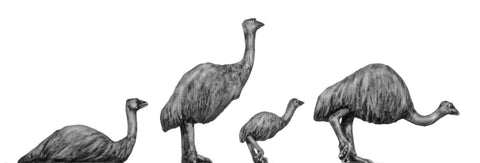 (100ANM14) Emu set of 4