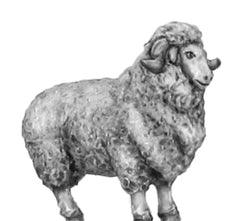 (100ANM20) Merino Sheep set of 5