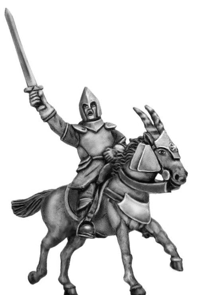 (100MMH033) Kamarg cavalry Captain