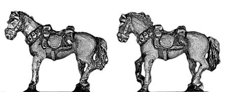 (300HBC07) Australian Light Horse held horse