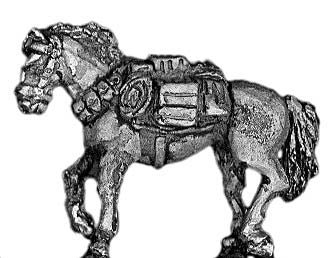 (300HBC09) Australian Light Horse pack horse