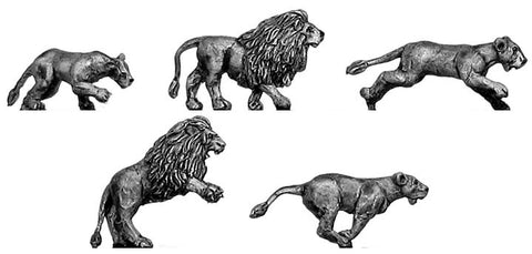 (400FAN31) Pride of Lions