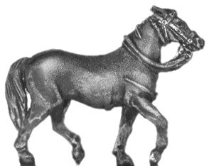 (AB-ACW096) Horse | trotting