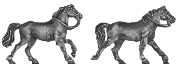 (AB-ACW097) Horse | galloping