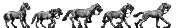 (AB-H08) Cossack pony