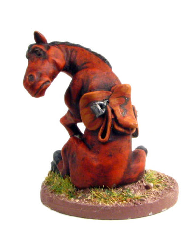 (PAXCC03) Abandoned and disgruntled cavalry horse
